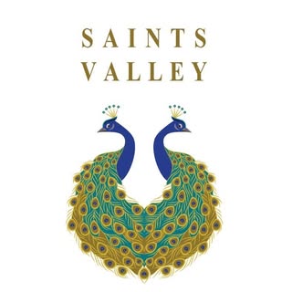 Saint Valley Boutique